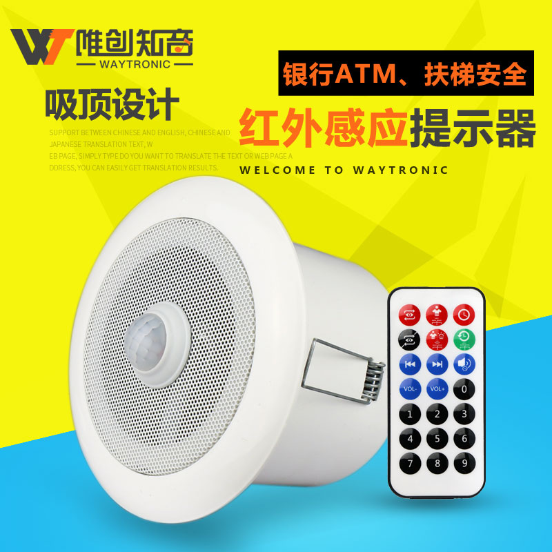 PowerSound-V9 吸顶式红外感应