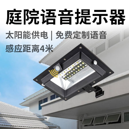 WT-WS4庭院语音提示器