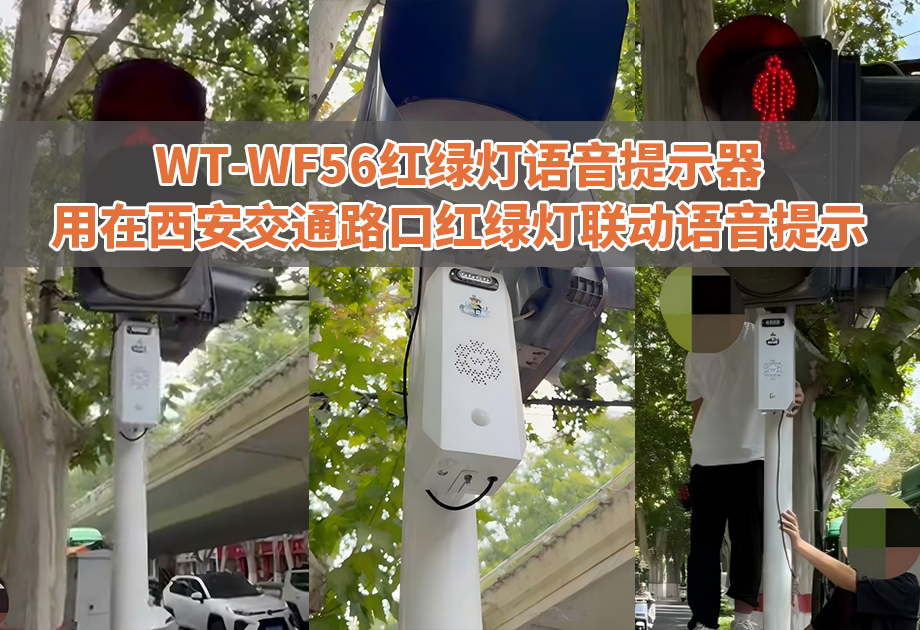 让红绿灯开口说话，WT-WF56红绿灯语音提