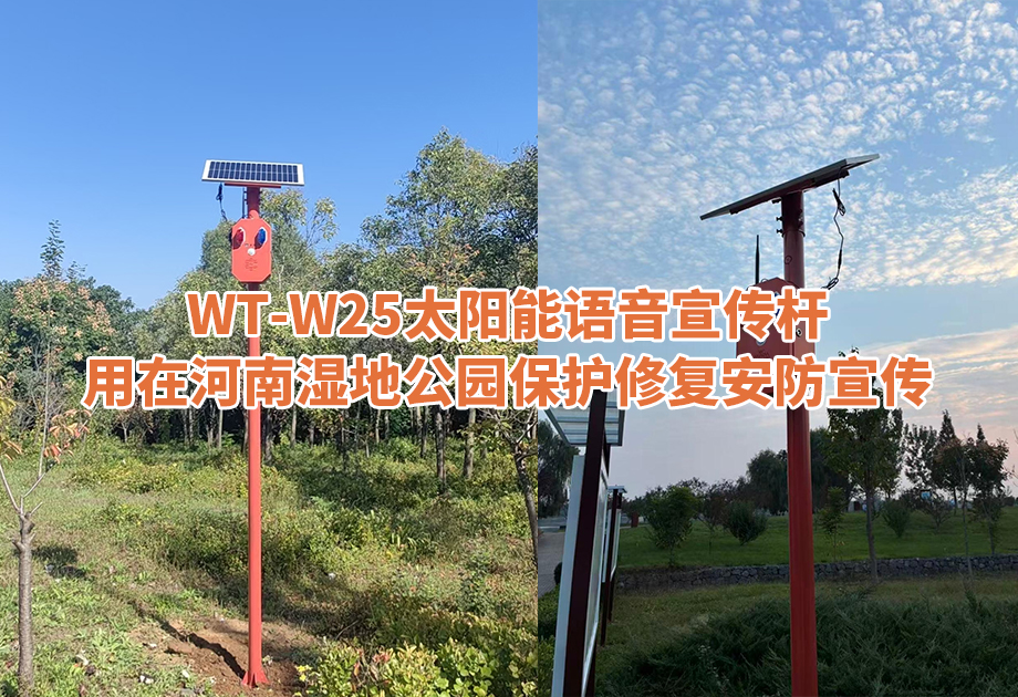洛河湿地上的“沉默哨兵” —WT-W25太阳能语音